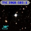 TYC 3960-503-1