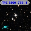 TYC 3960-736-1