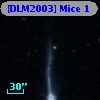 [DLM2003] Mice  1
