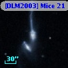 [DLM2003] Mice 21