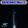 [DLM2003] Mice  3