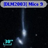 [DLM2003] Mice  9
