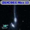 [DLM2003] Mice 13