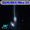 [DLM2003] Mice 14