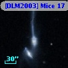 [DLM2003] Mice 17