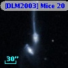 [DLM2003] Mice 20
