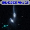 [DLM2003] Mice 23