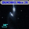 [DLM2003] Mice 28