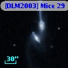 [DLM2003] Mice 29