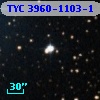 TYC 3960-1103-1
