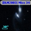 [DLM2003] Mice 34