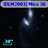 [DLM2003] Mice 36