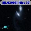 [DLM2003] Mice 37