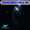 [DLM2003] Mice 45