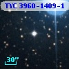 TYC 3960-1409-1