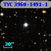 TYC 3960-1491-1