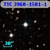 TYC 3960-1501-1