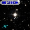 HD 239630