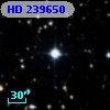 HD 239650