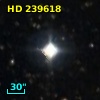 HD 239618