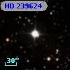 HD 239624