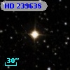 HD 239638