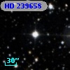 HD 239658