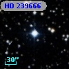 HD 239666