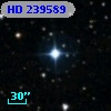 HD 239589
