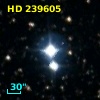 HD 239605