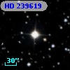 HD 239619
