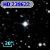 HD 239622
