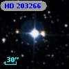 HD 203266