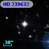 HD 239632