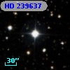 HD 239637