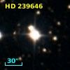 HD 239646
