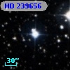 HD 239656