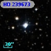 HD 239673