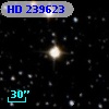 HD 239623
