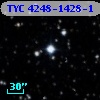 TYC 4248-1428-1
