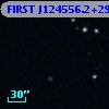 FIRST J124556.2+295828