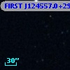 FIRST J124557.0+293241