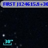 FIRST J124615.8+300043