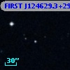 FIRST J124629.3+292410