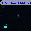 FIRST J124639.5+295015