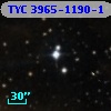 TYC 3965-1190-1