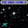 TYC 3965-1290-1