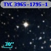 TYC 3965-1795-1