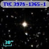 TYC 3978-1365-1