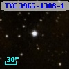 TYC 3965-1308-1